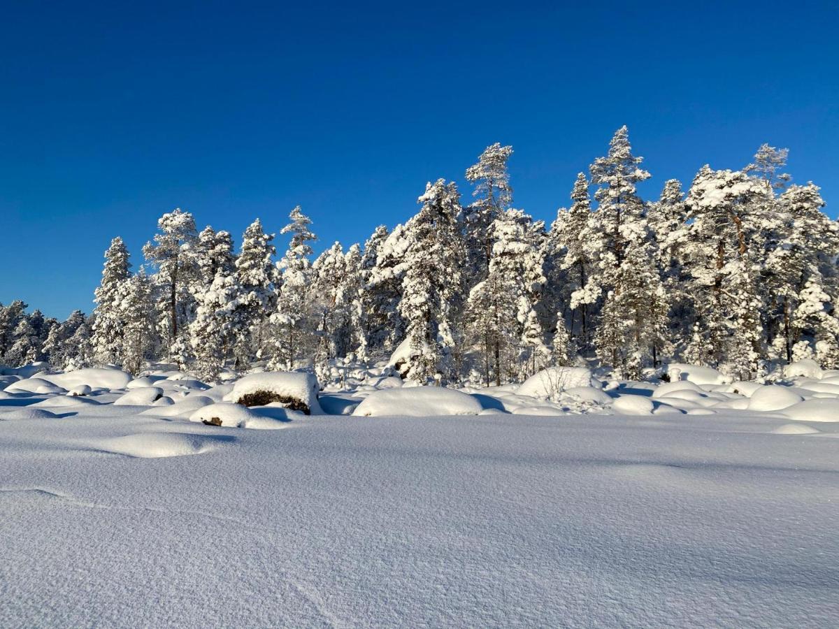 Norlight Cottages Ivalo - Tuli Экстерьер фото