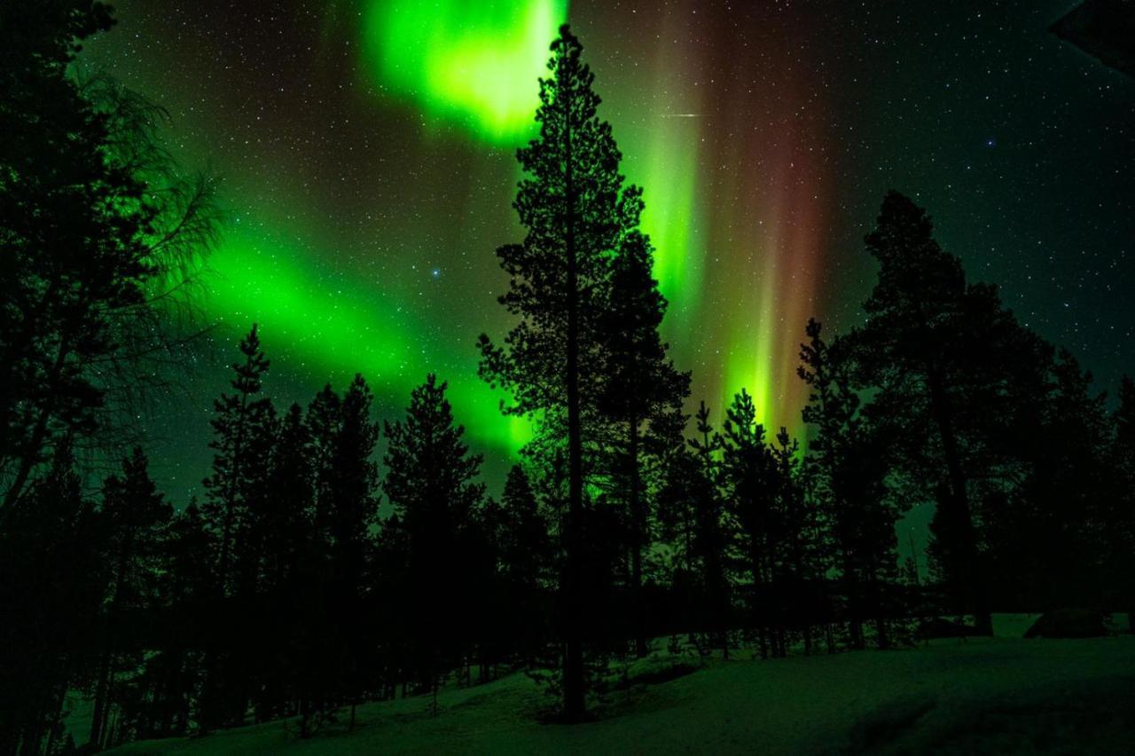 Norlight Cottages Ivalo - Tuli Экстерьер фото